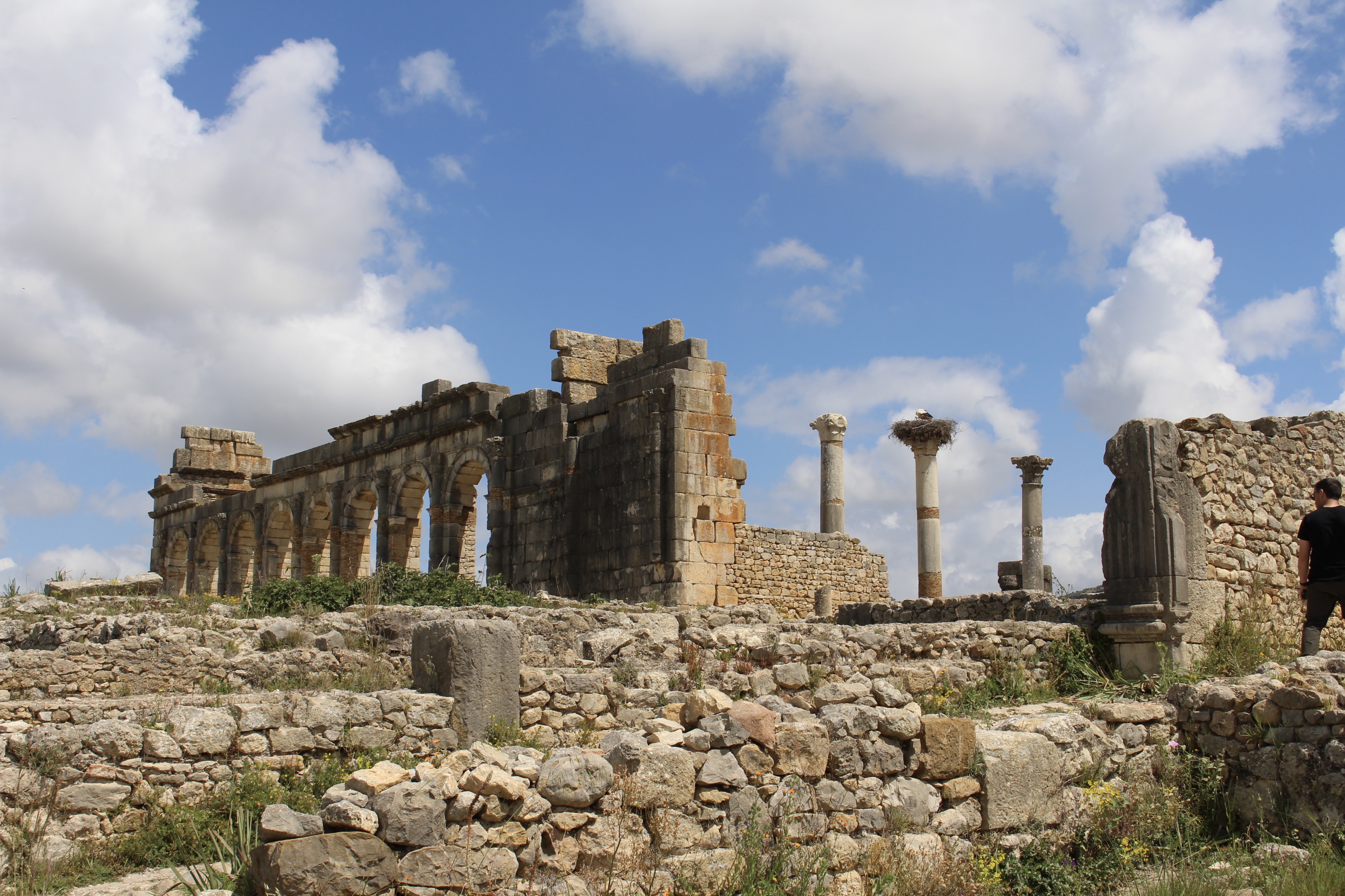 fullsizeoutput_1ba95