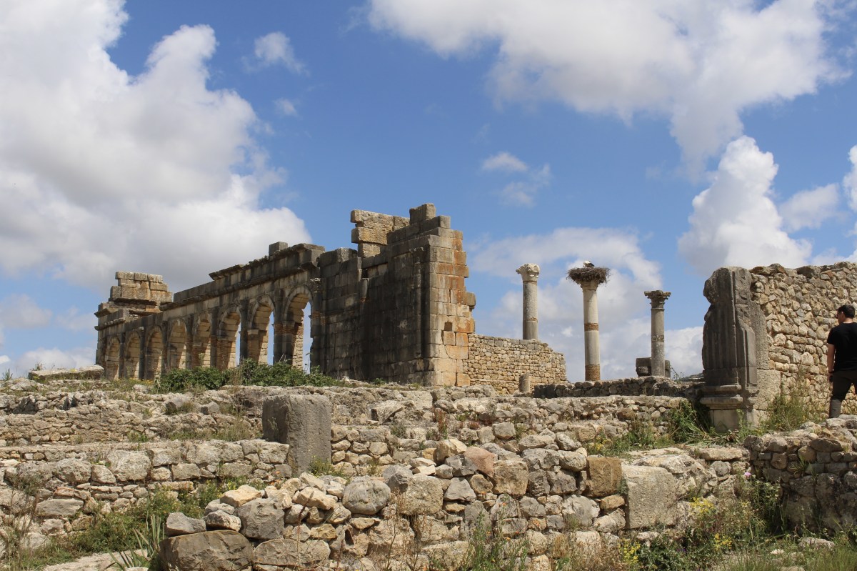 fullsizeoutput_1ba95