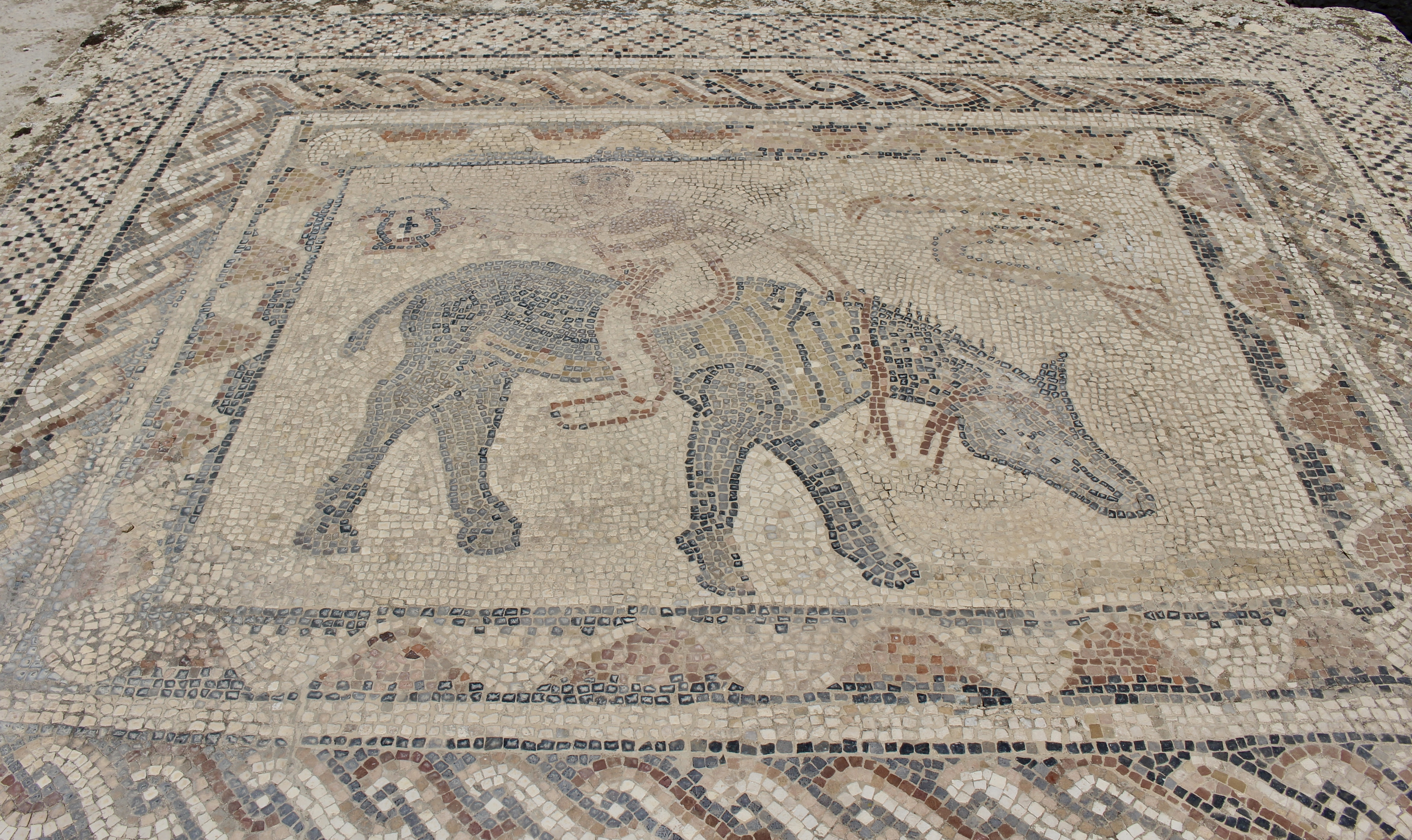 fullsizeoutput_1baa8