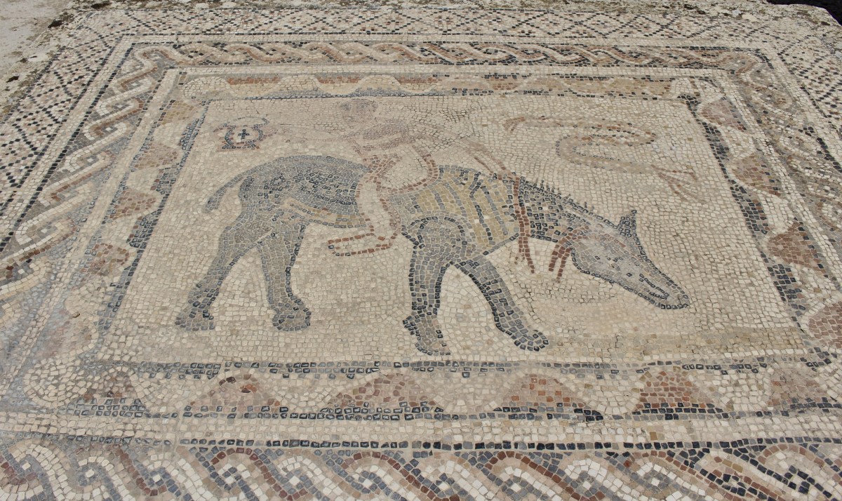 fullsizeoutput_1baa8