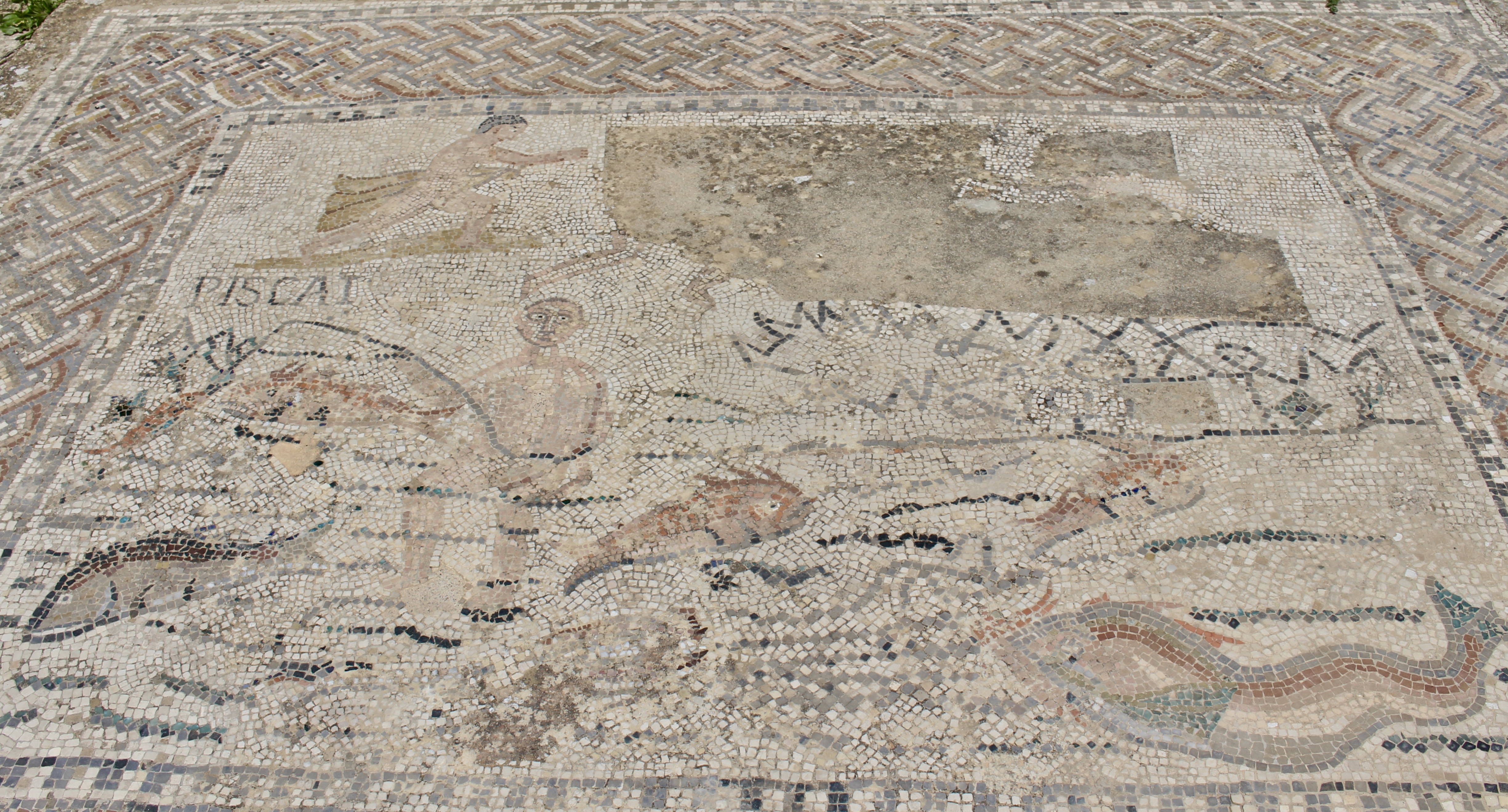 fullsizeoutput_1baa9