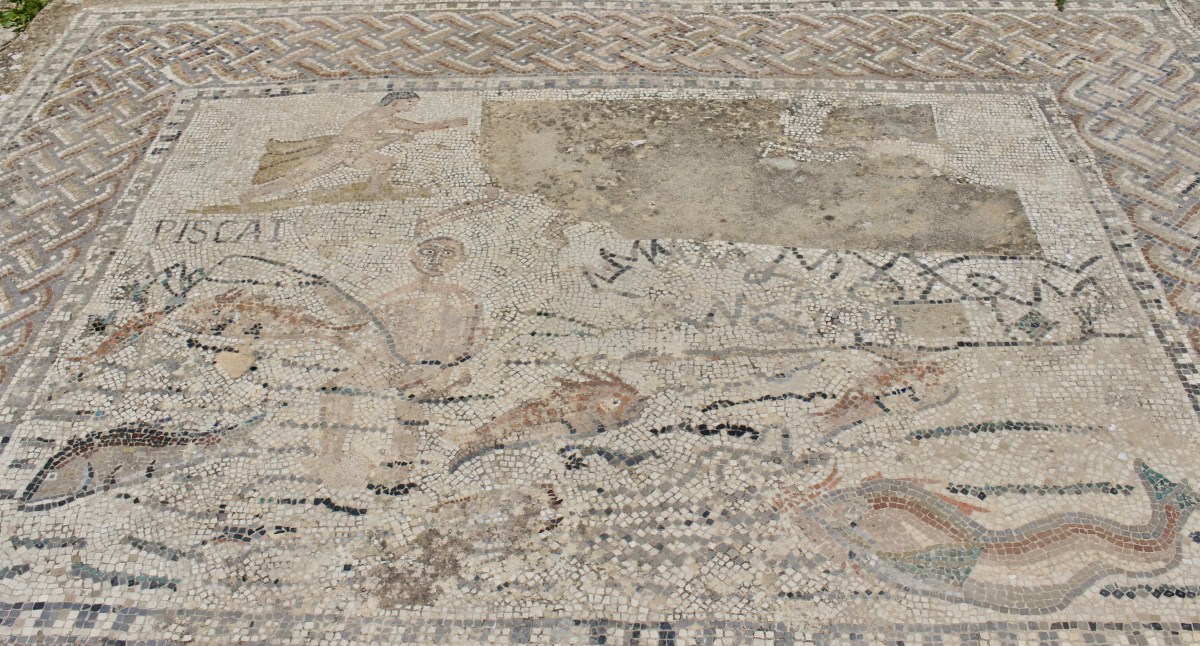 fullsizeoutput_1baa9