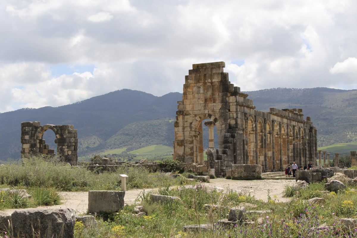 fullsizeoutput_1baab