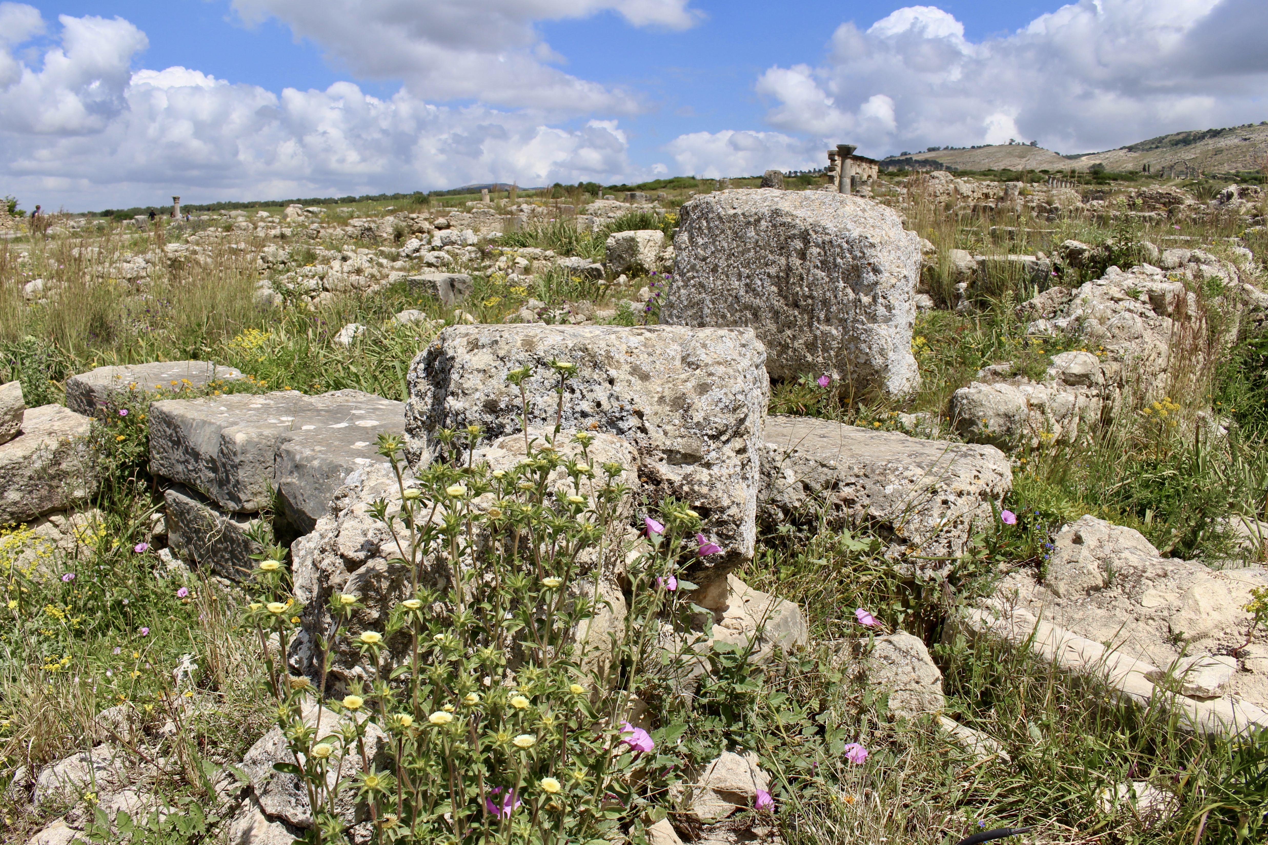 fullsizeoutput_1baae