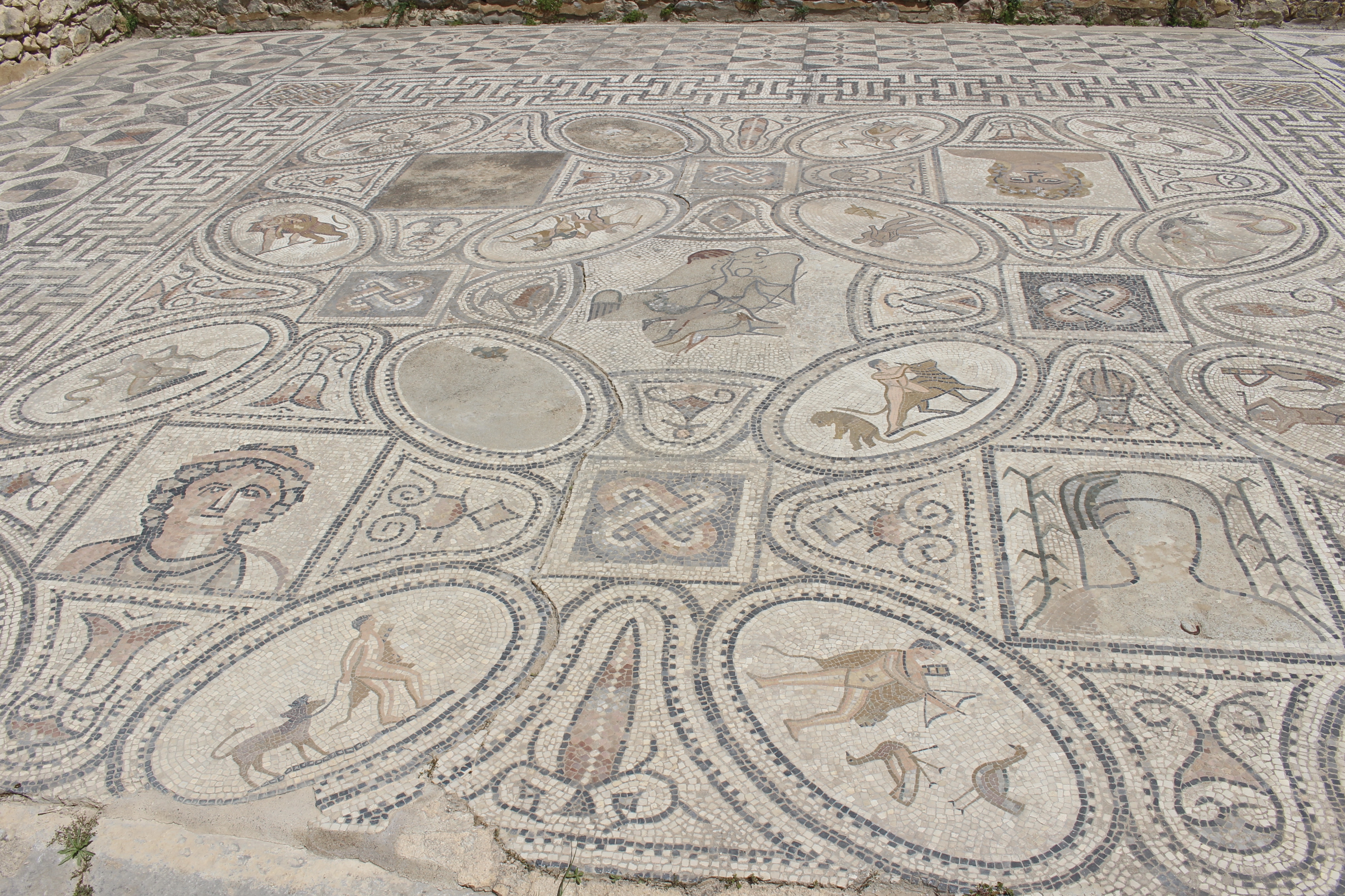 fullsizeoutput_1baf1