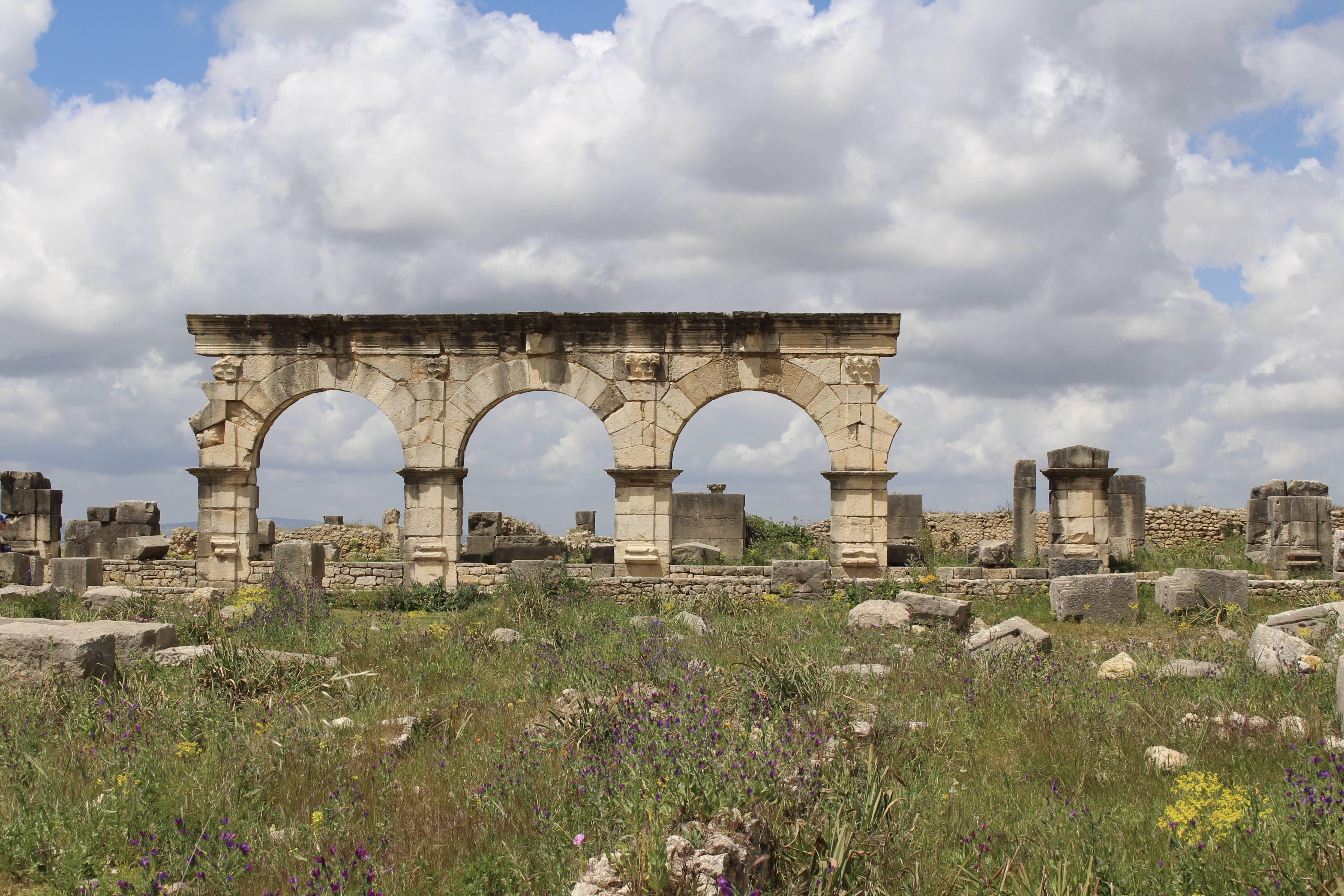 fullsizeoutput_1bb00