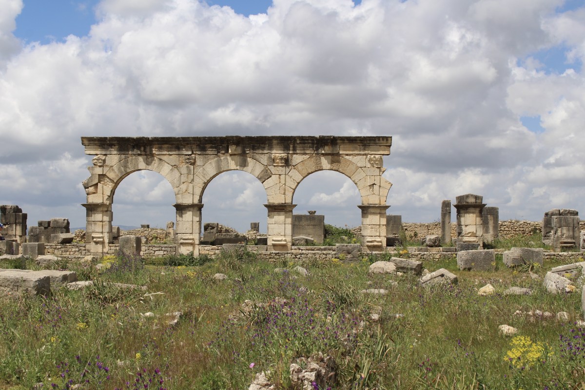 fullsizeoutput_1bb00