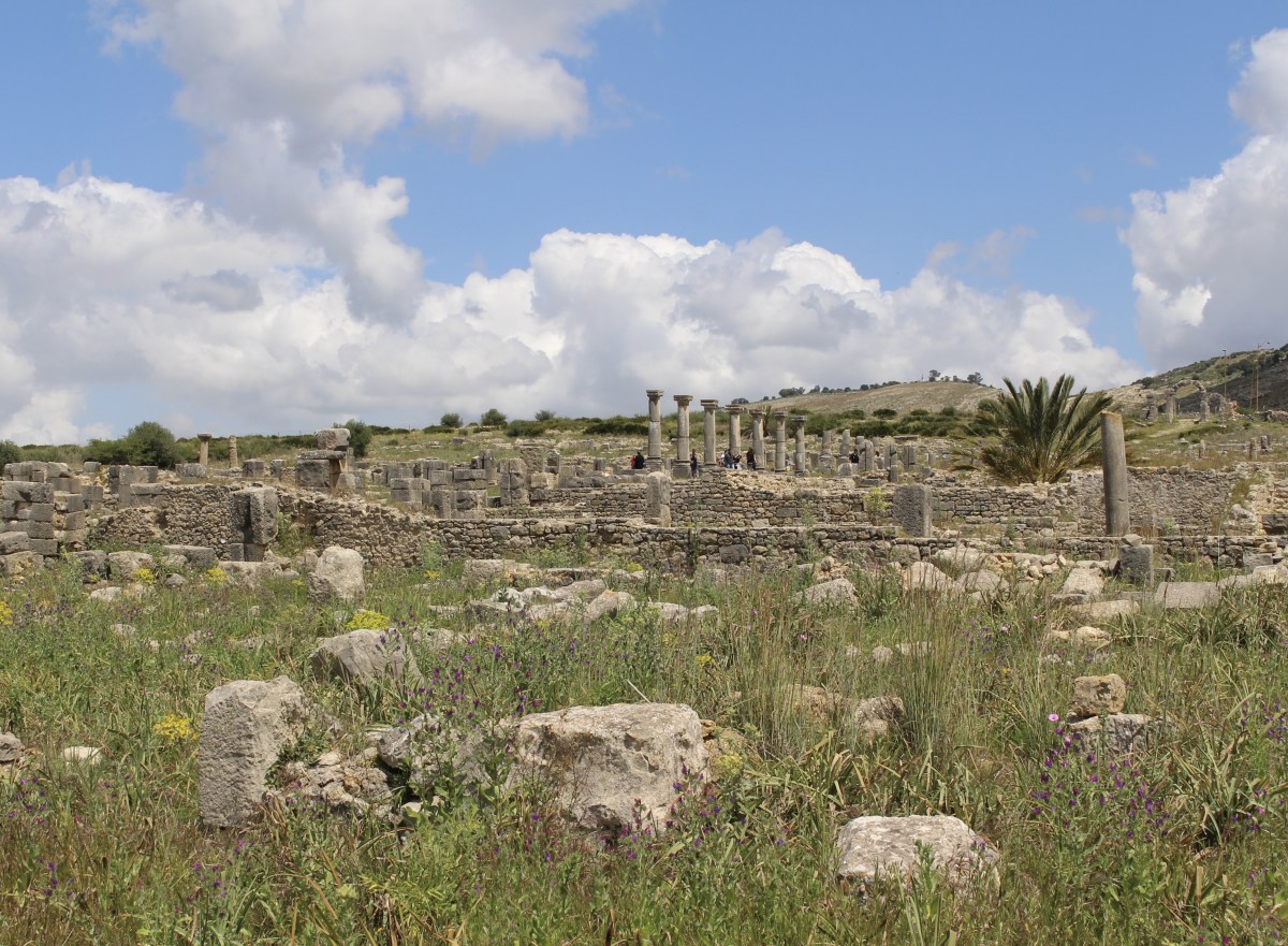 fullsizeoutput_1bb01