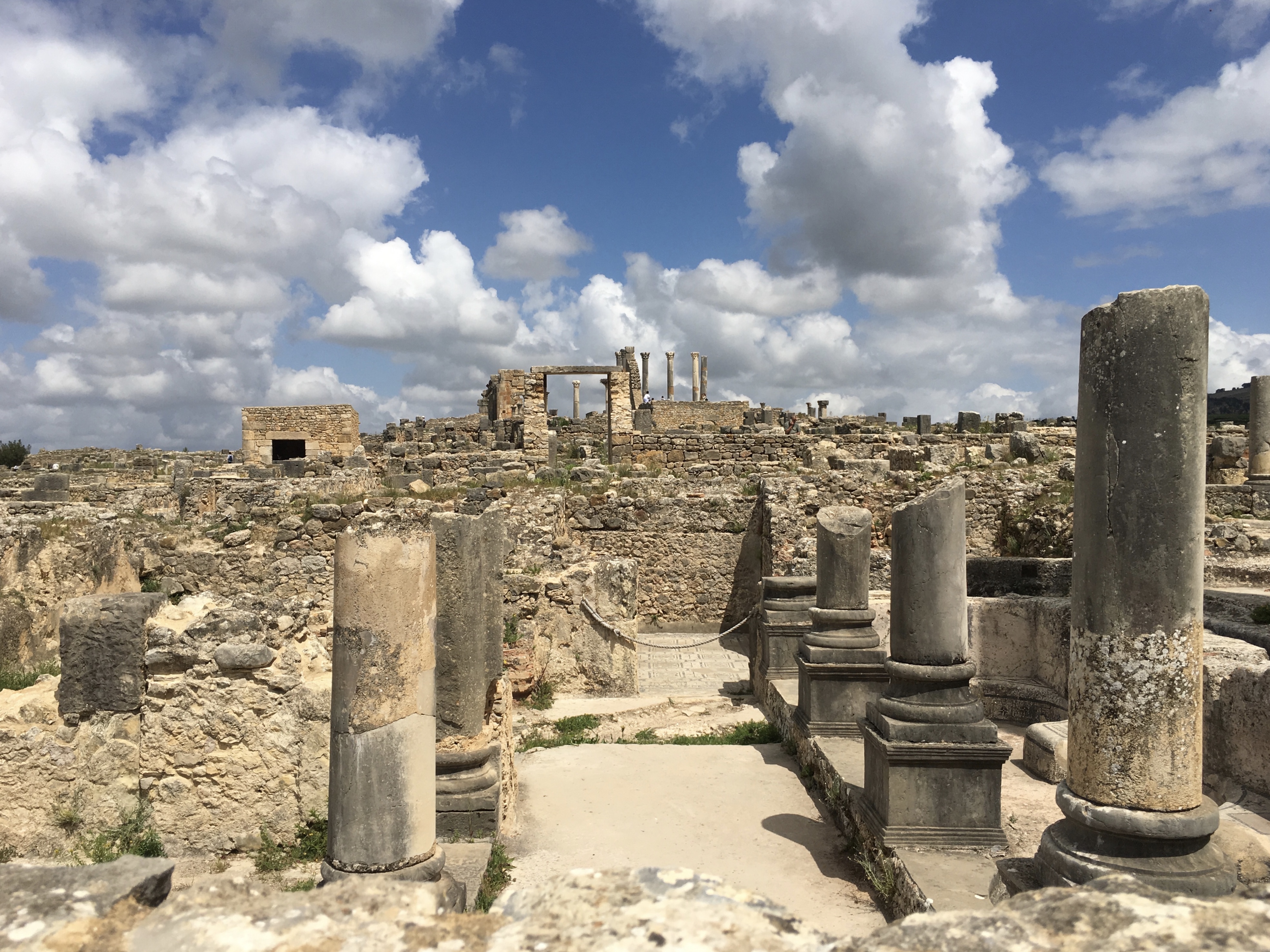 fullsizeoutput_1bb08