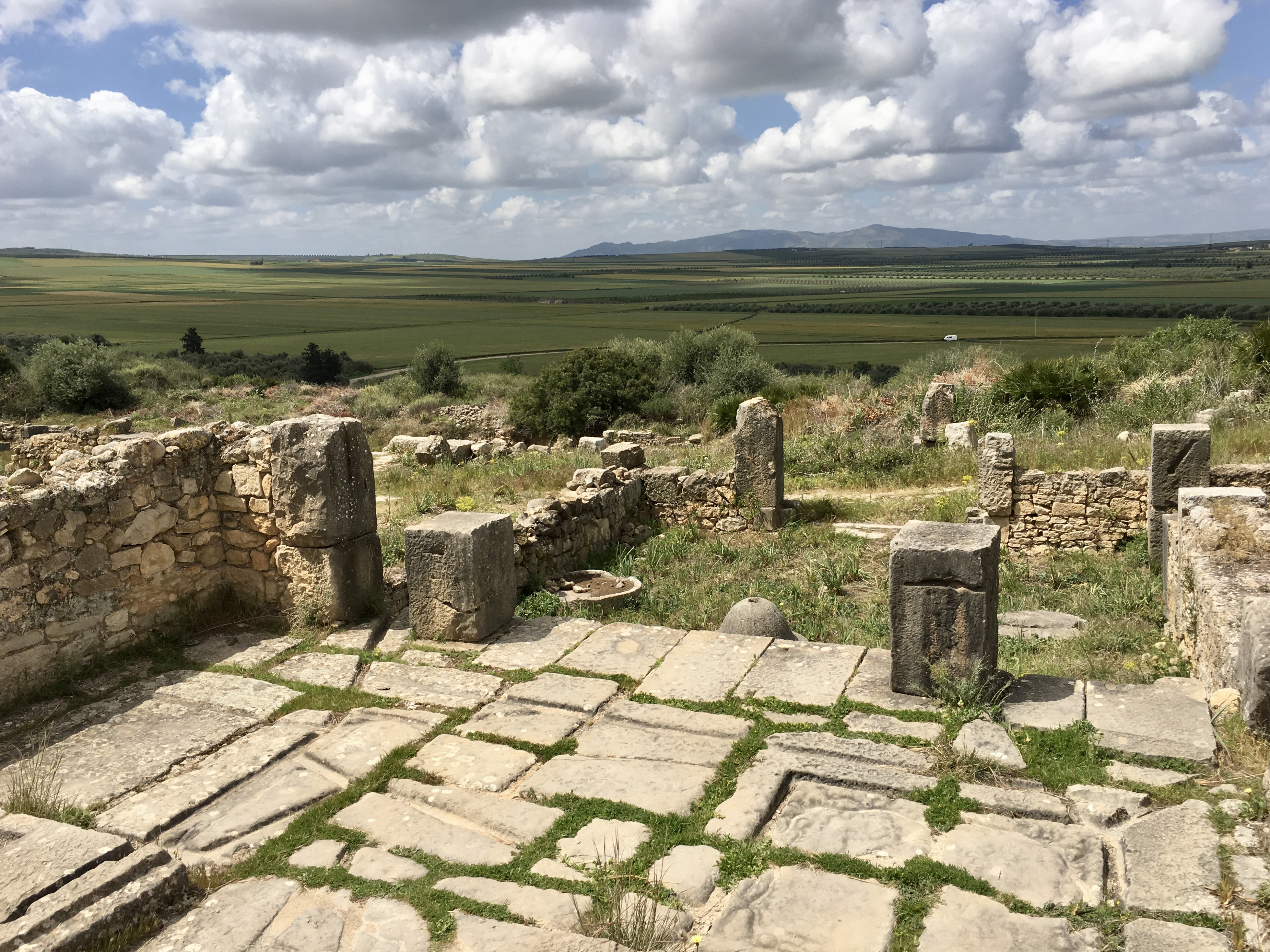 fullsizeoutput_1bb0e