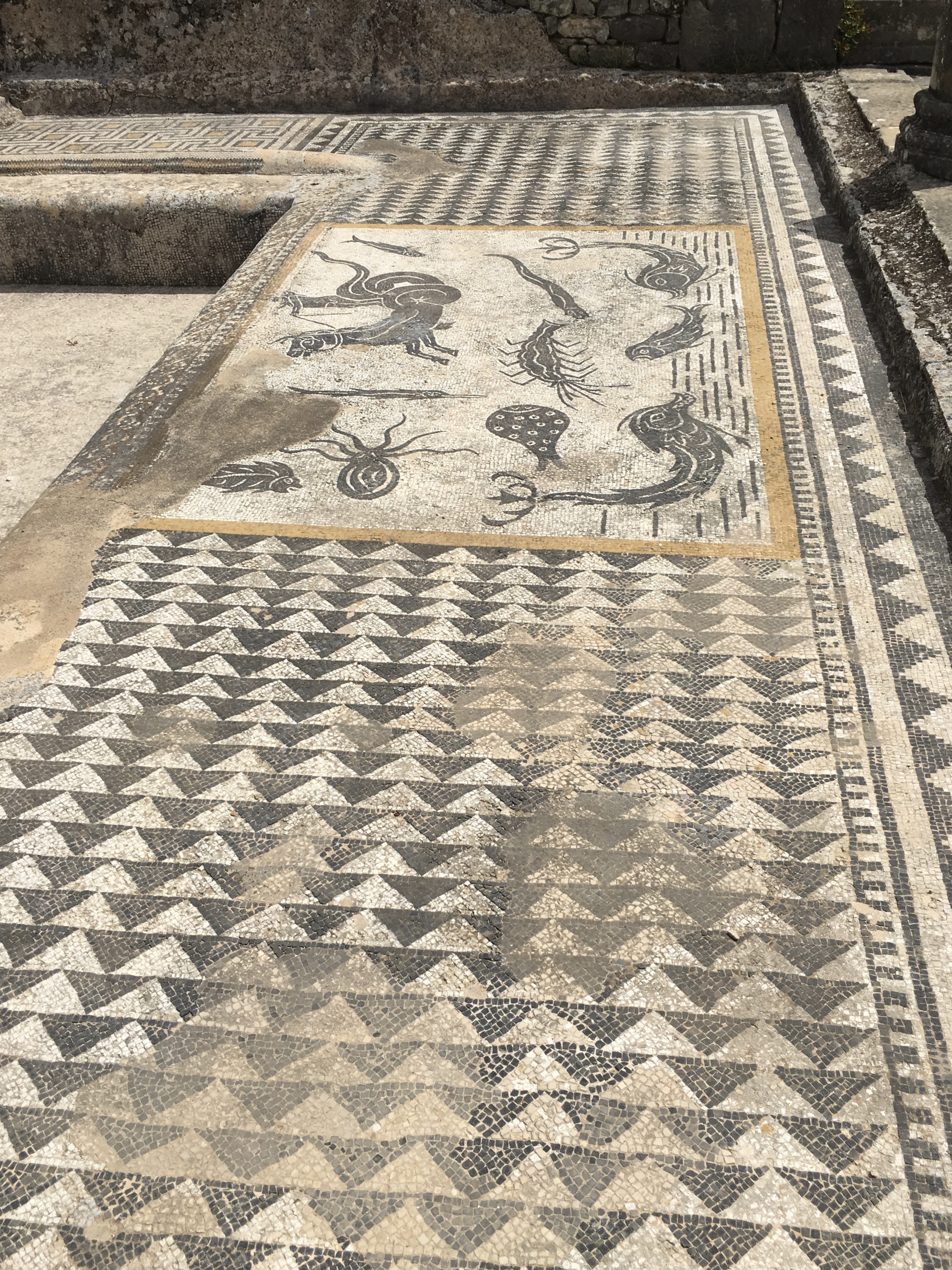 fullsizeoutput_1bb10