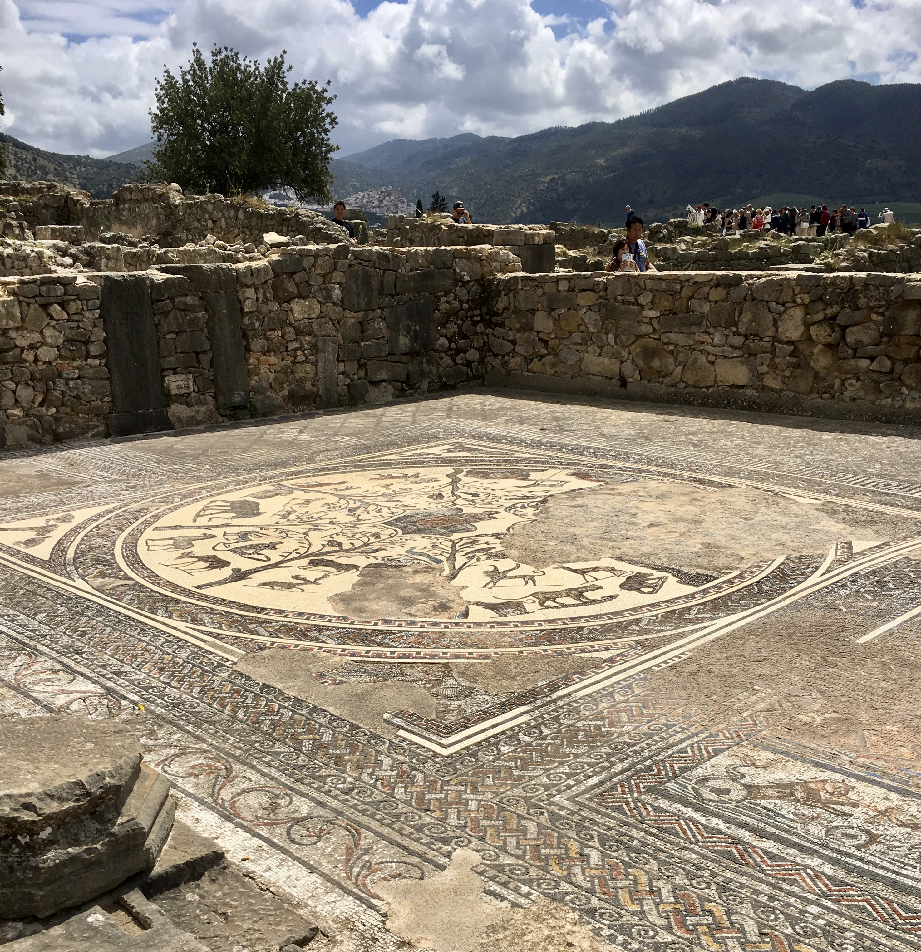 fullsizeoutput_1bb12