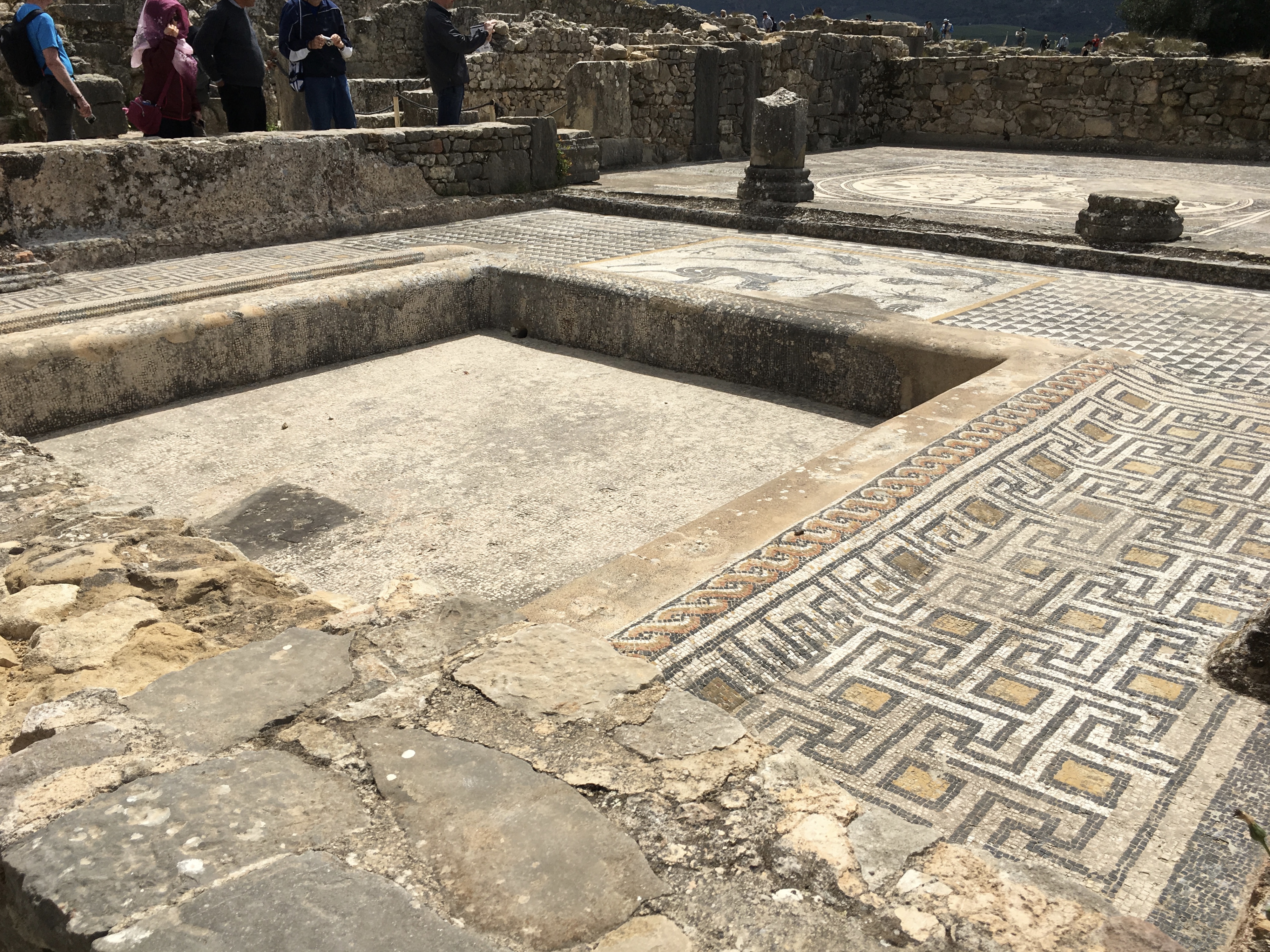 fullsizeoutput_1bb13