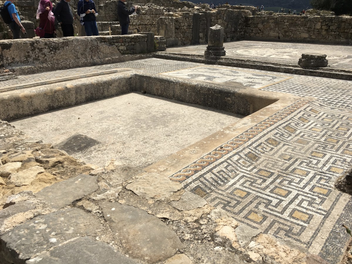 fullsizeoutput_1bb13