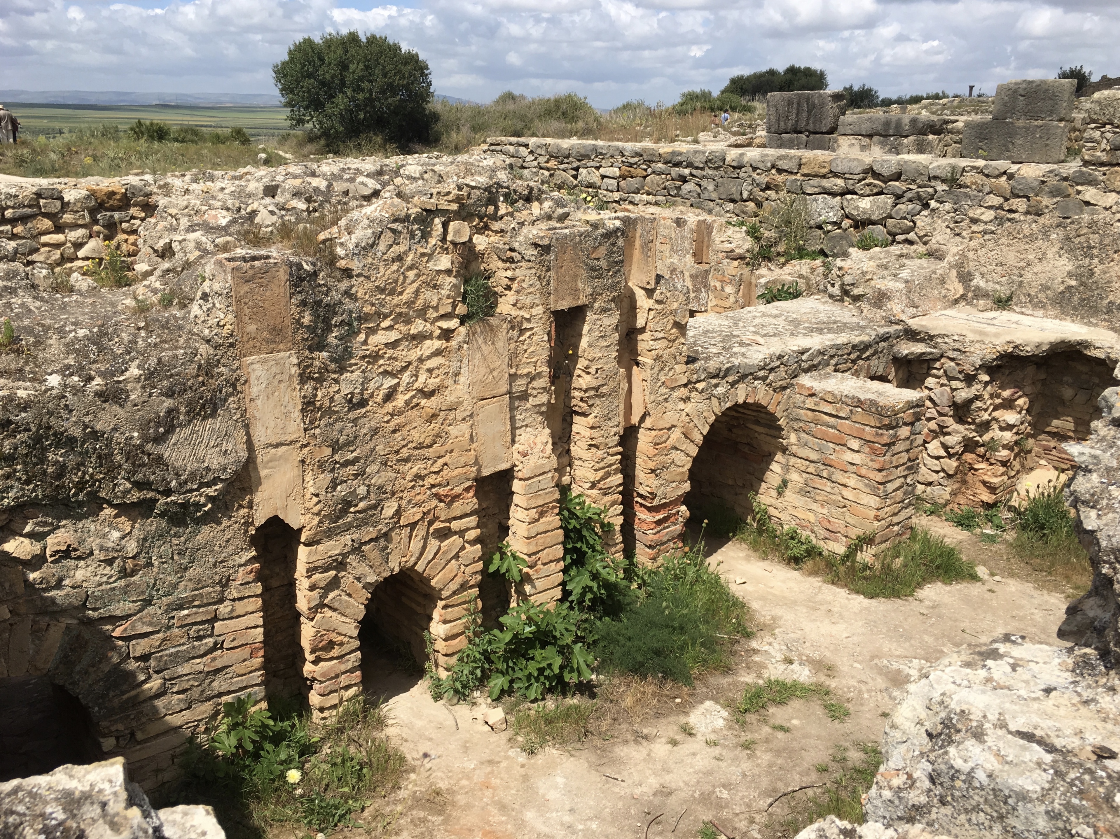 fullsizeoutput_1bb17