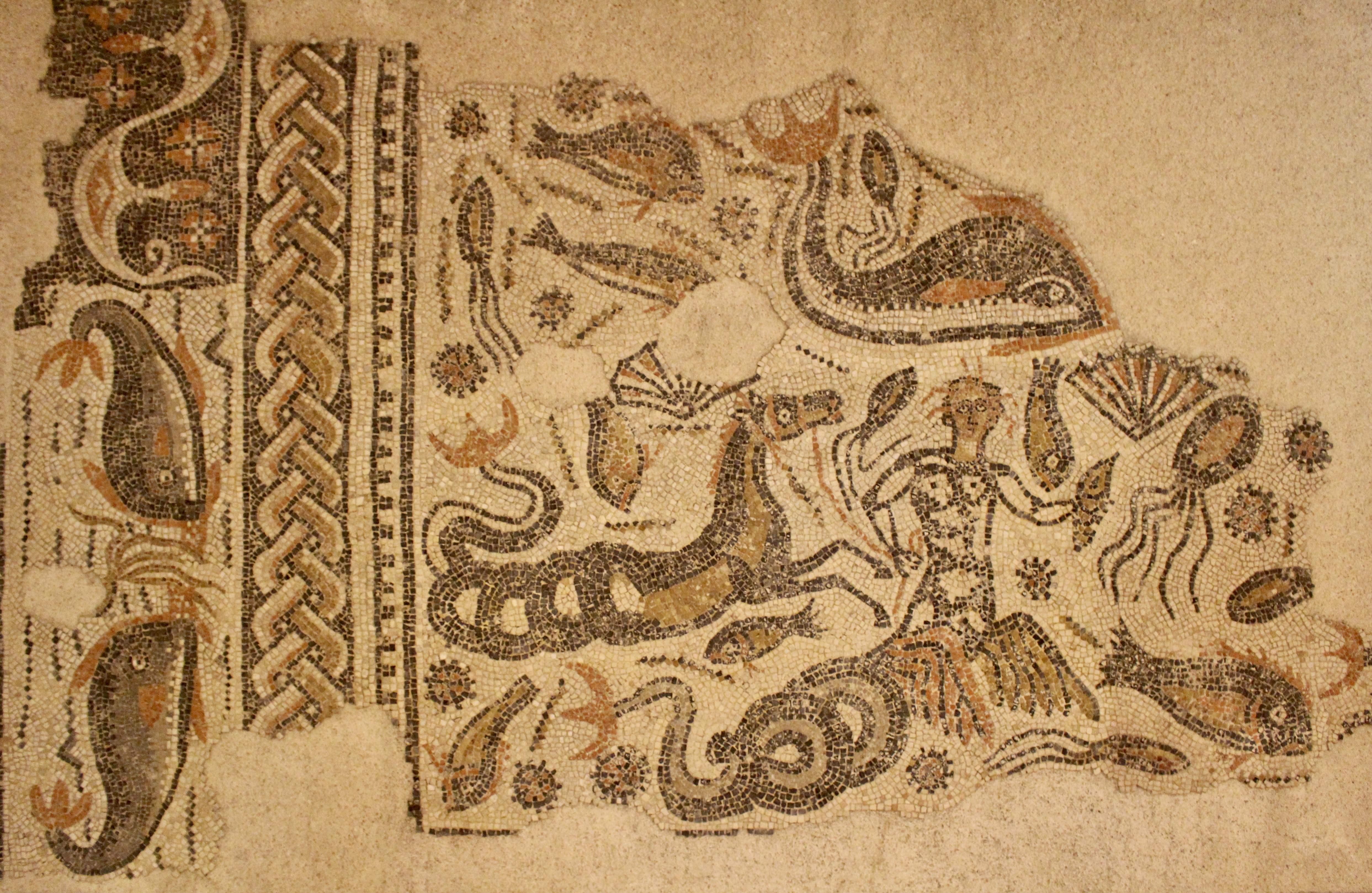 fullsizeoutput_1bb1e