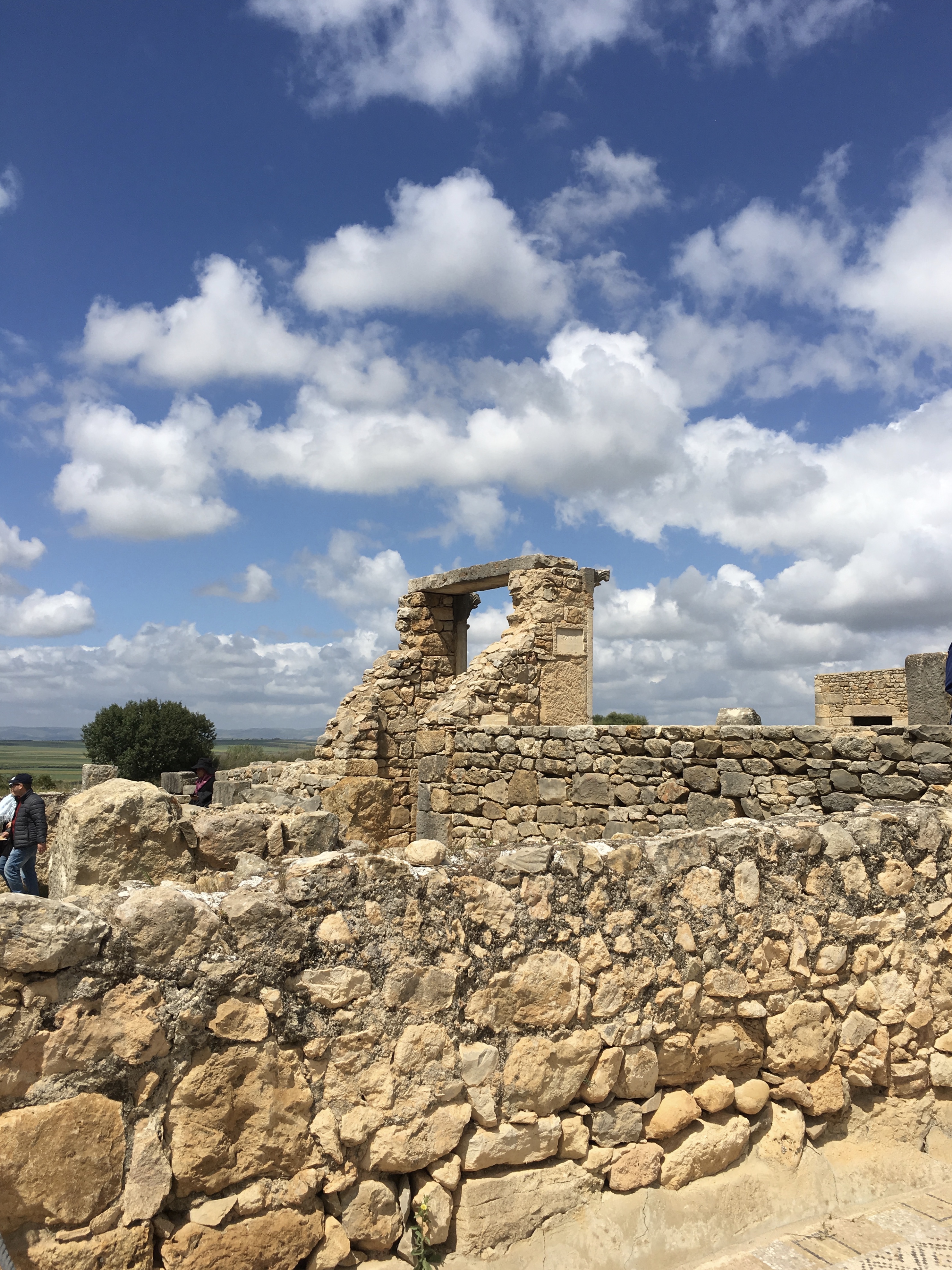 fullsizeoutput_1bb1f