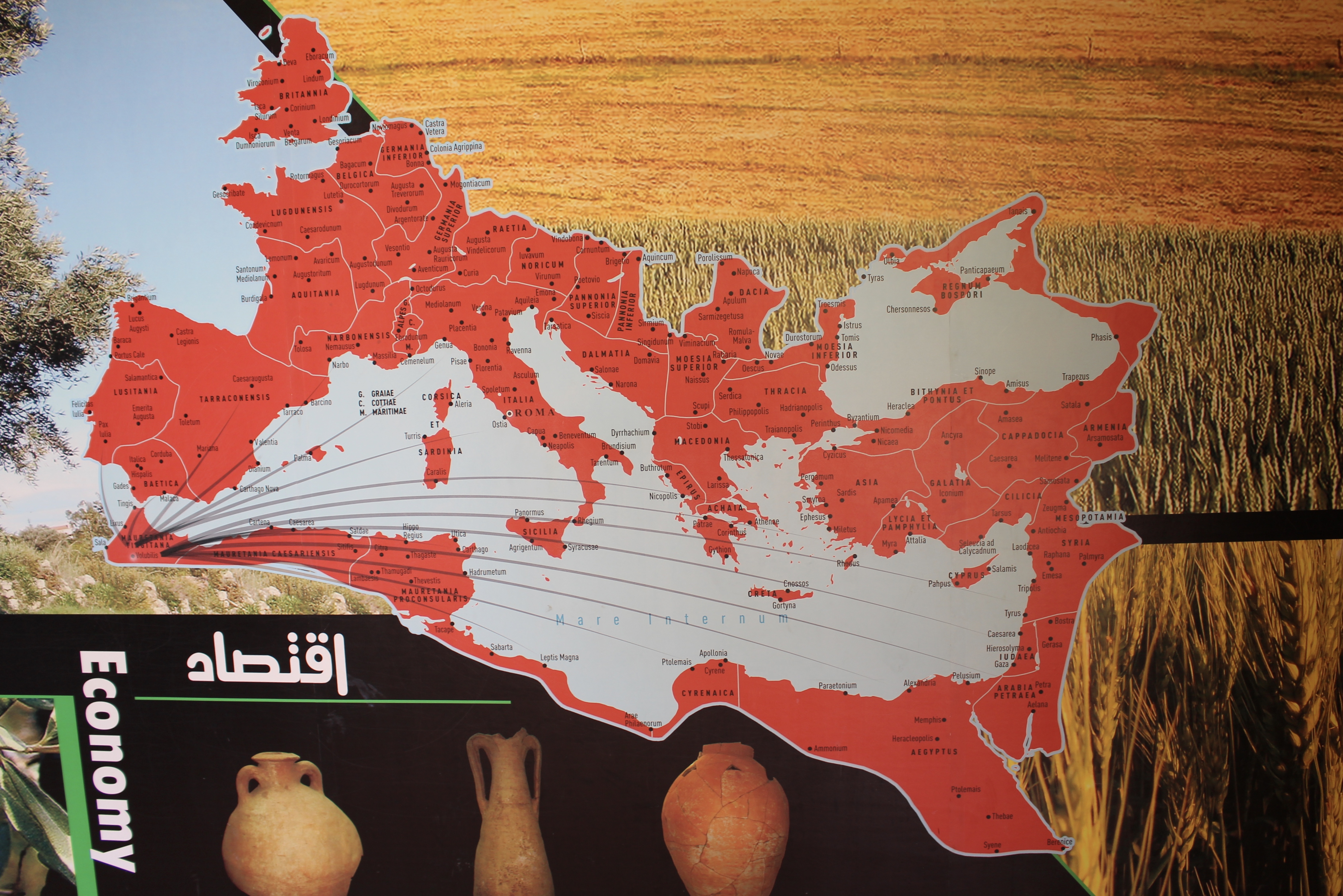 fullsizeoutput_1bb20