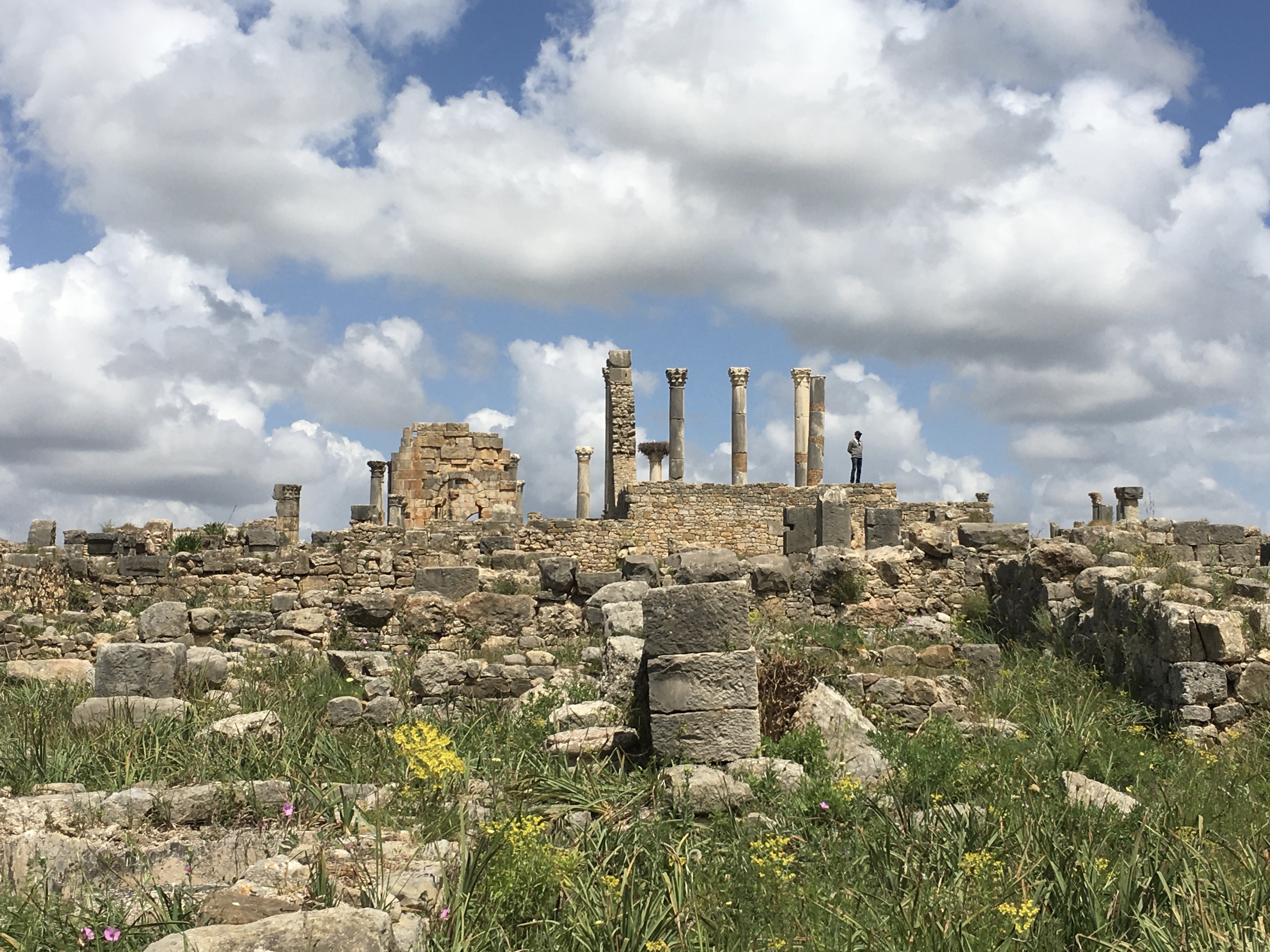 fullsizeoutput_1bb34