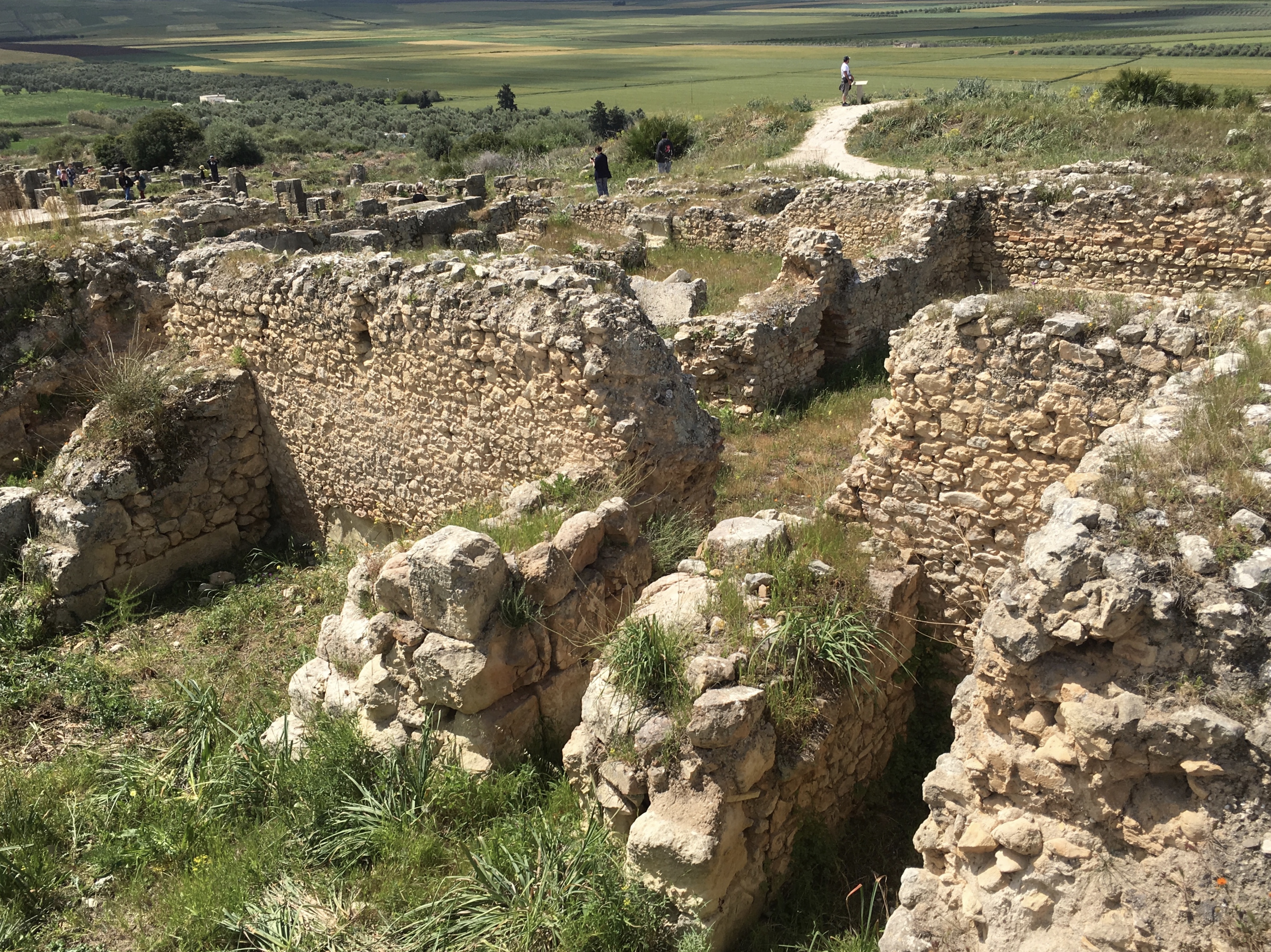 fullsizeoutput_1bb38