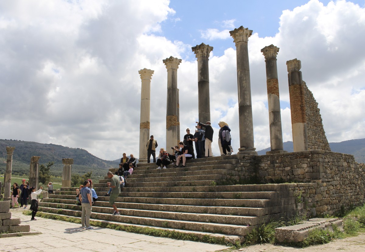 fullsizeoutput_1bfdf