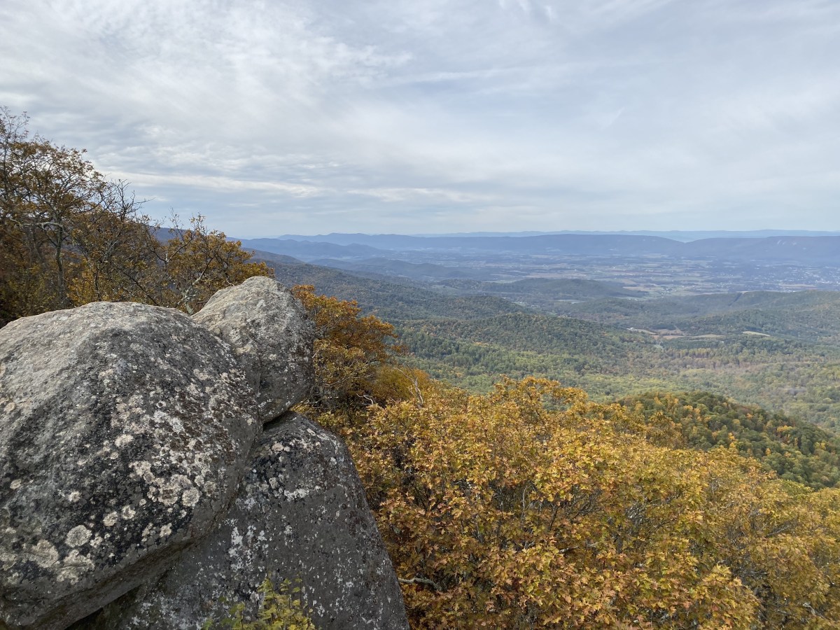 ULWet0y1T9C7ouzeOL%S3A