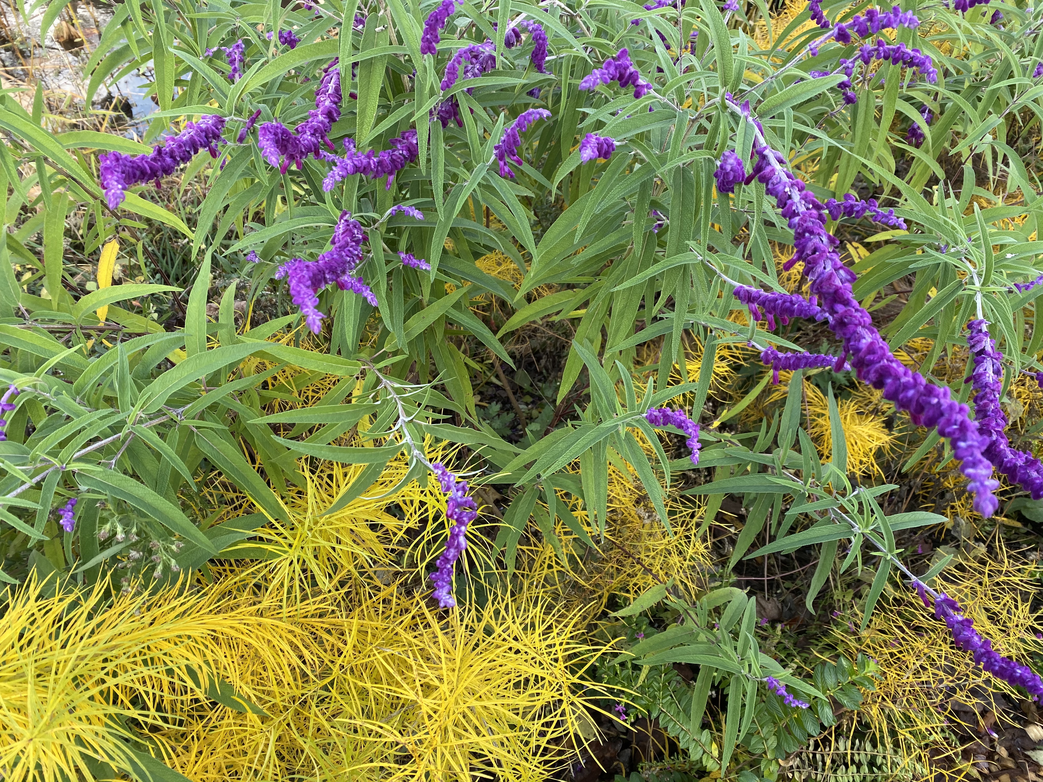 wbThb3+0RDaIrOmd65oEKg