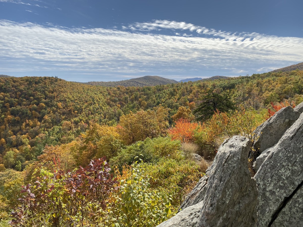 xxbSWBsMSxKZtAuCiDdY9A