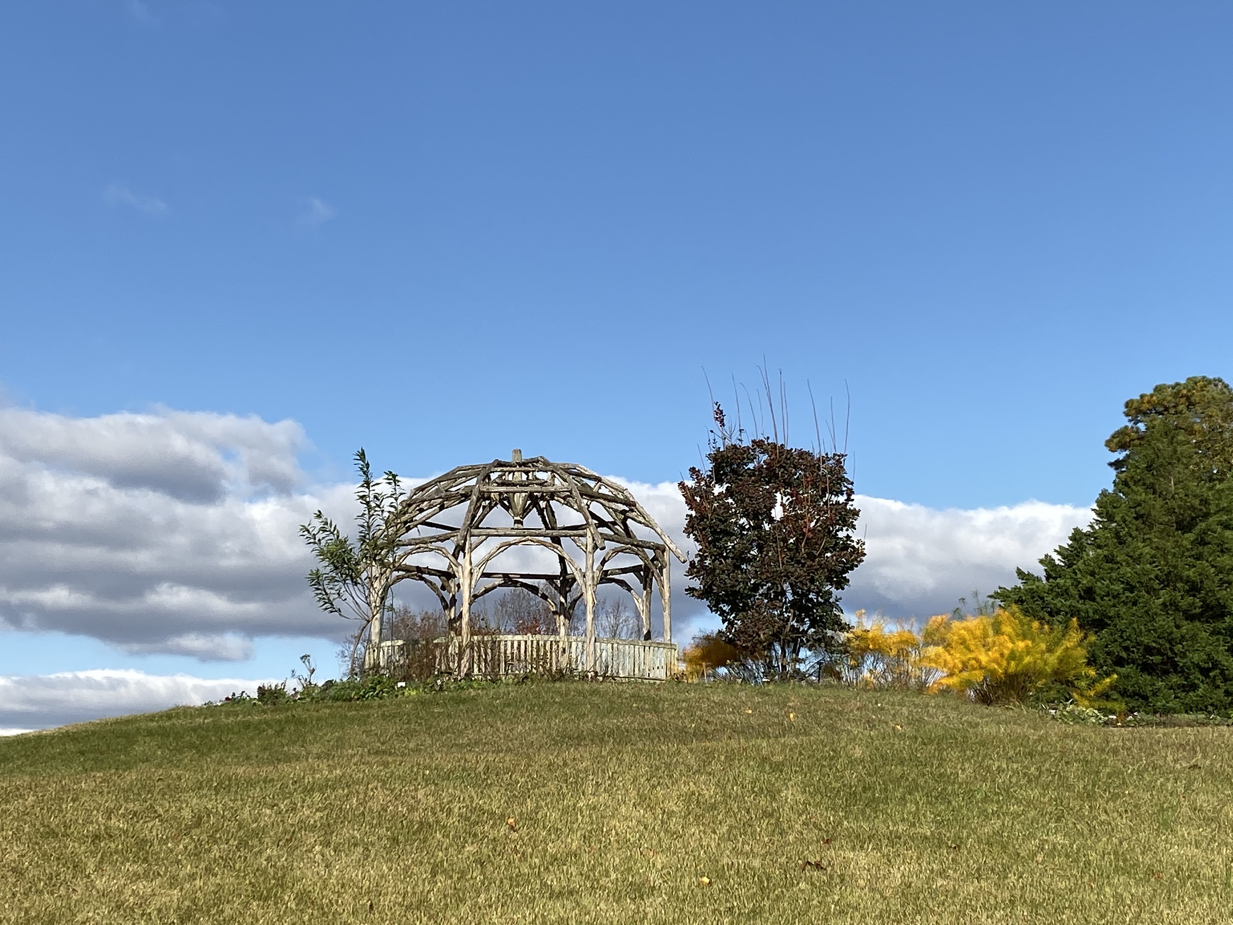 Z5U5YloxSROMMitGBrn0+Q