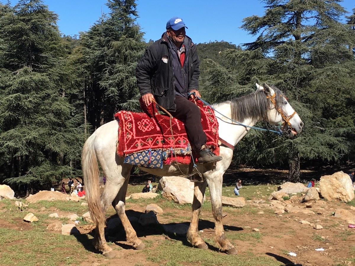 fullsizeoutput_1830e