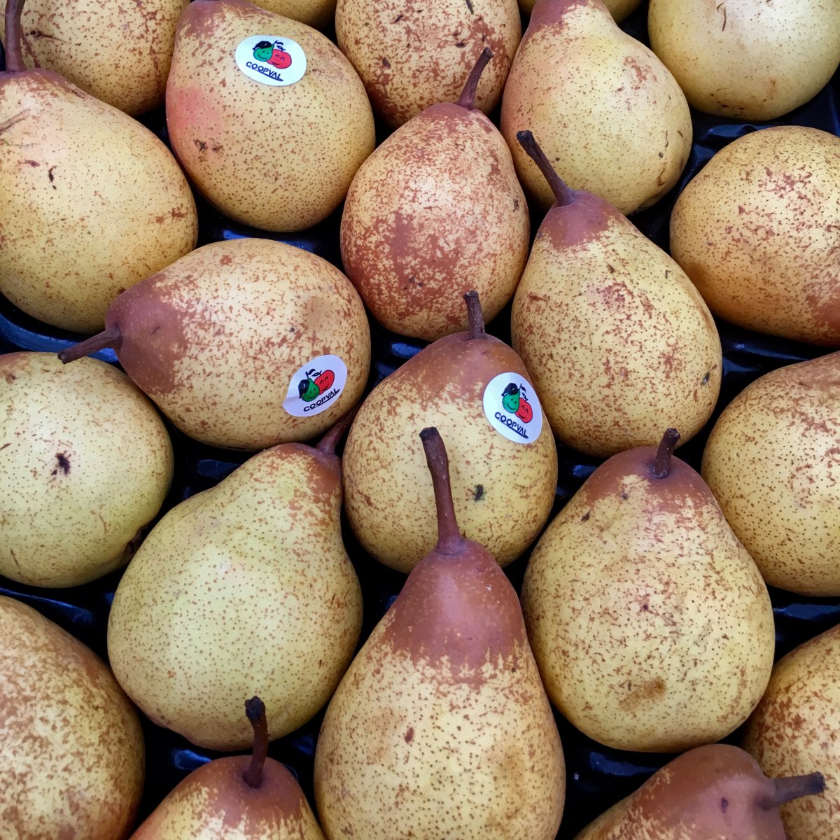 fullsizeoutput_18330