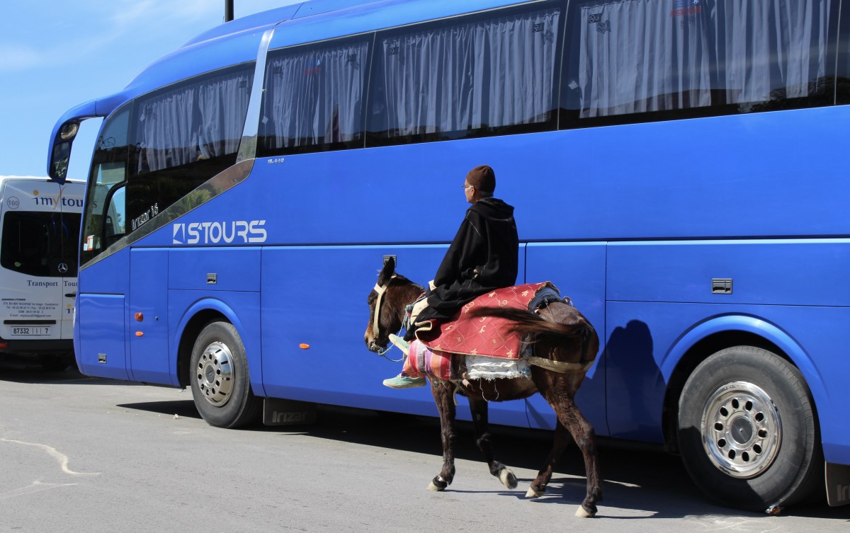 fullsizeoutput_1bc74