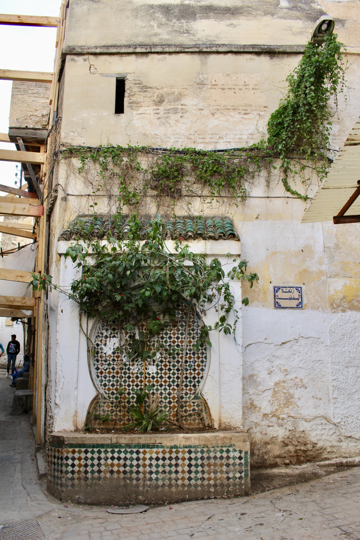 fullsizeoutput_1bc7b