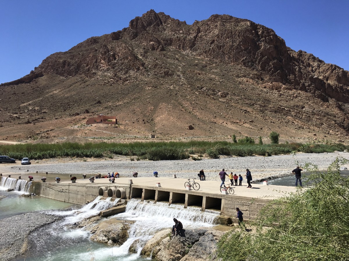 fullsizeoutput_1bcda