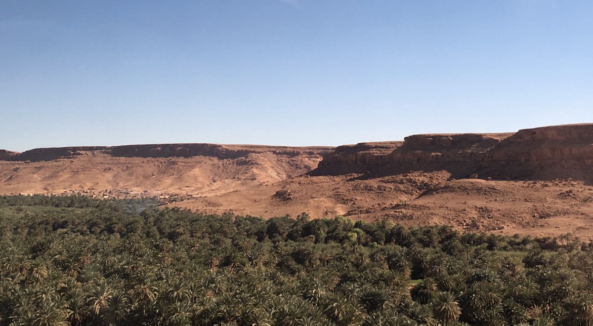 fullsizeoutput_1bce2