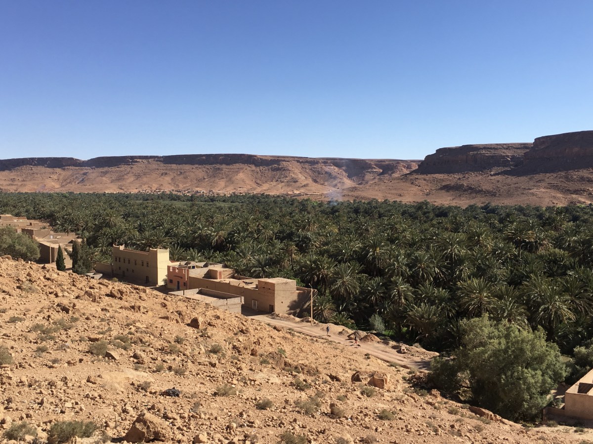 fullsizeoutput_1bce7