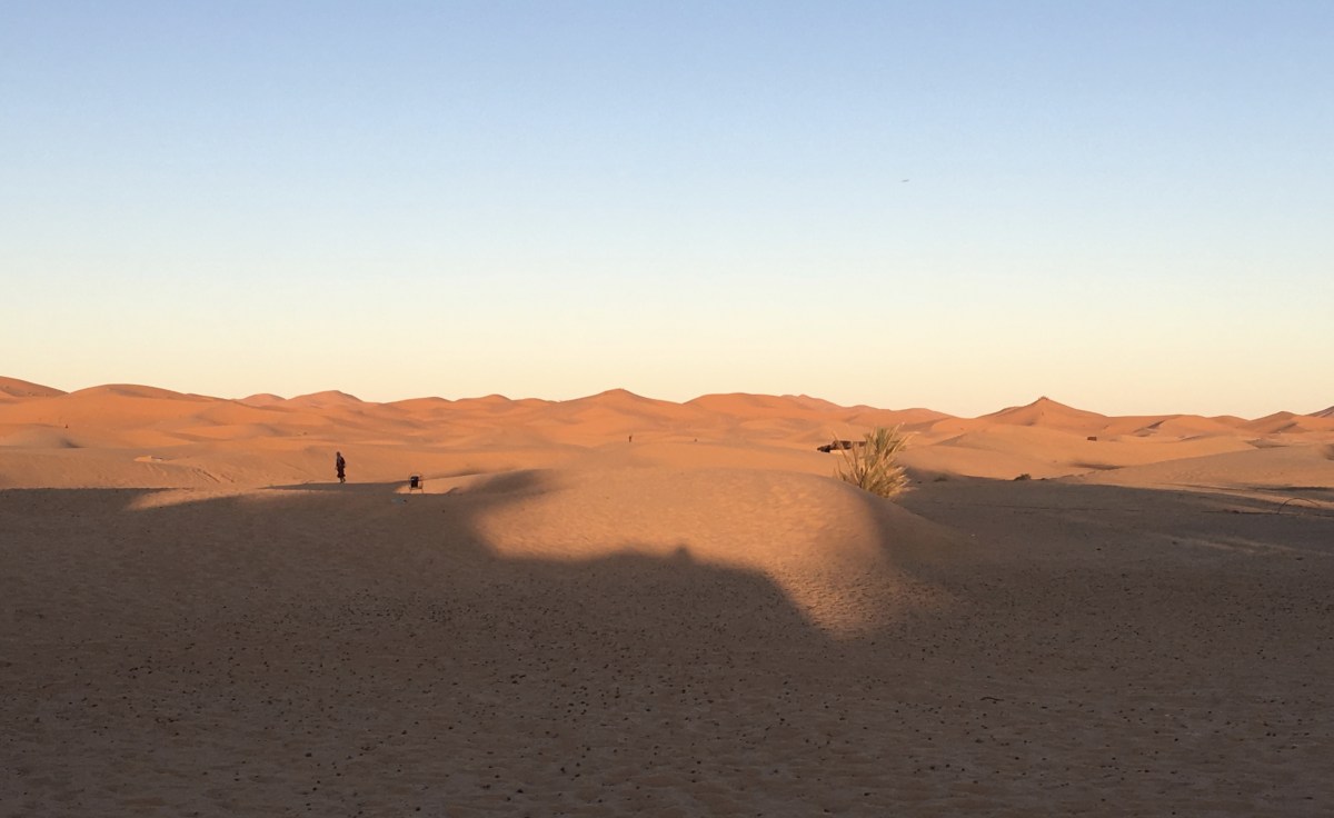 fullsizeoutput_1bcf5