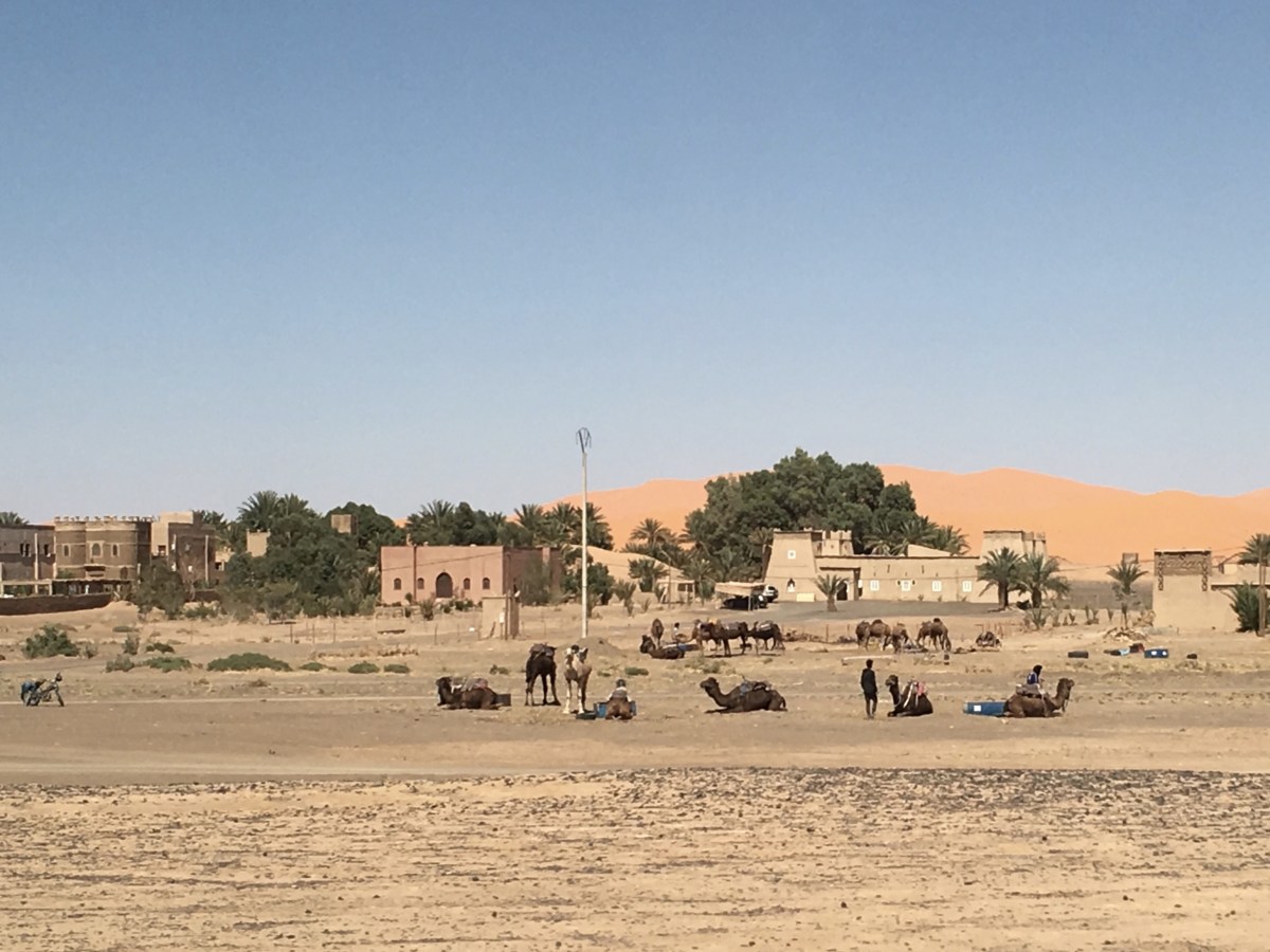 fullsizeoutput_1bd1c