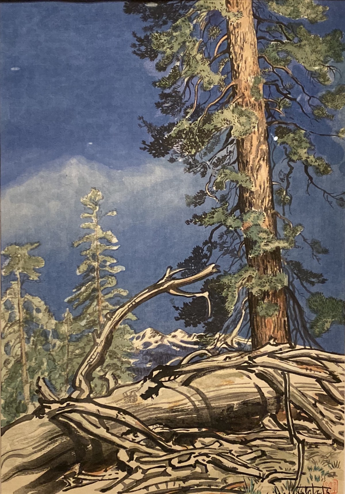 fullsizeoutput_1bda9