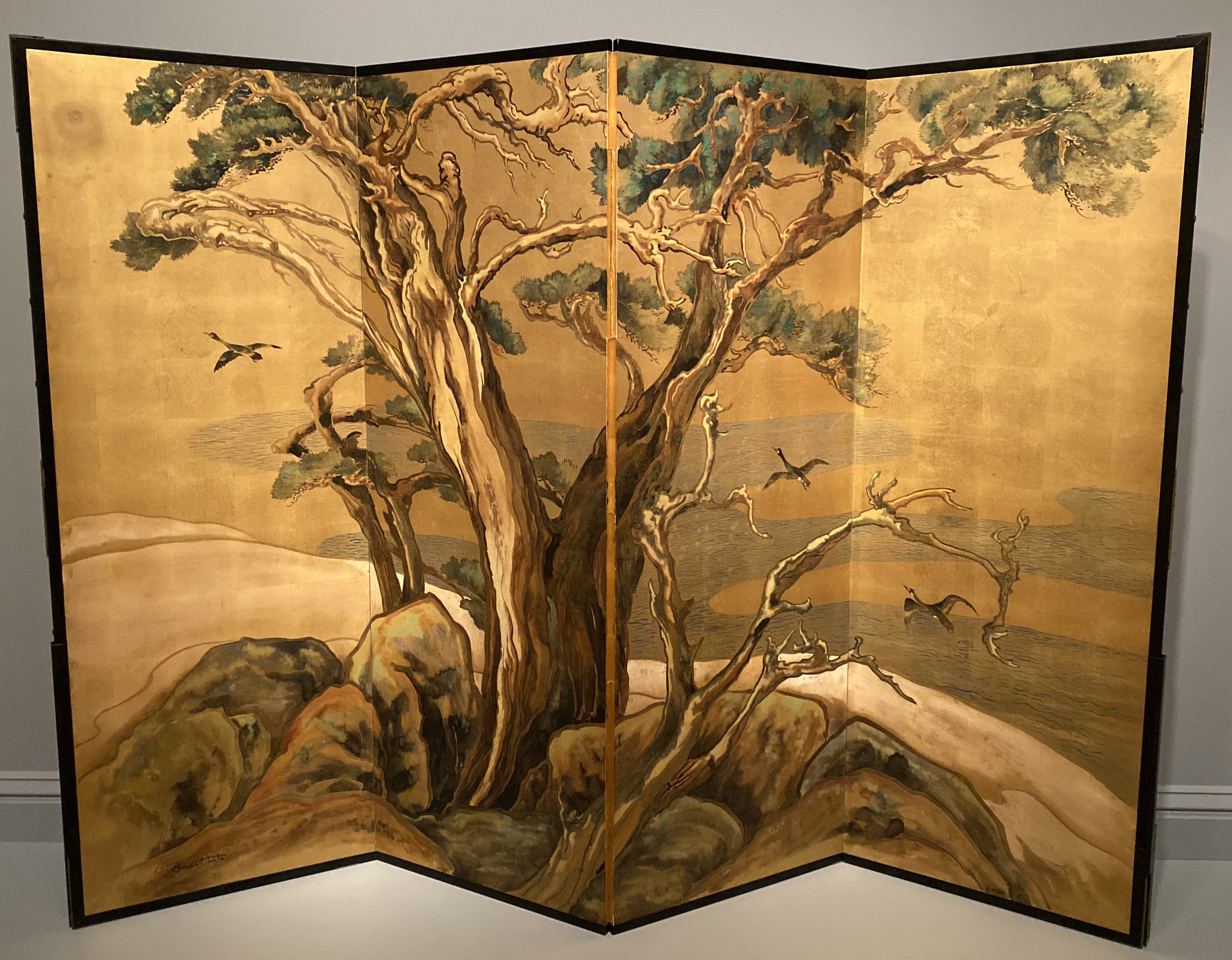 fullsizeoutput_1bdb4