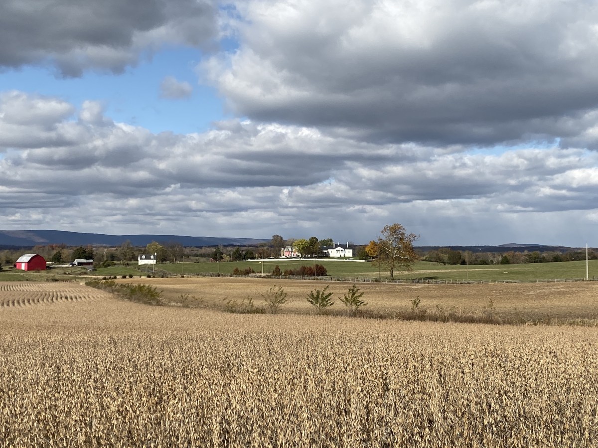 fullsizeoutput_1be31