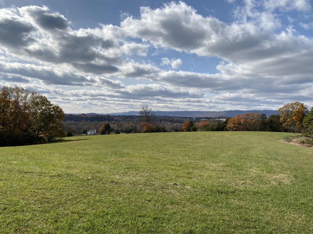 fullsizeoutput_1be37