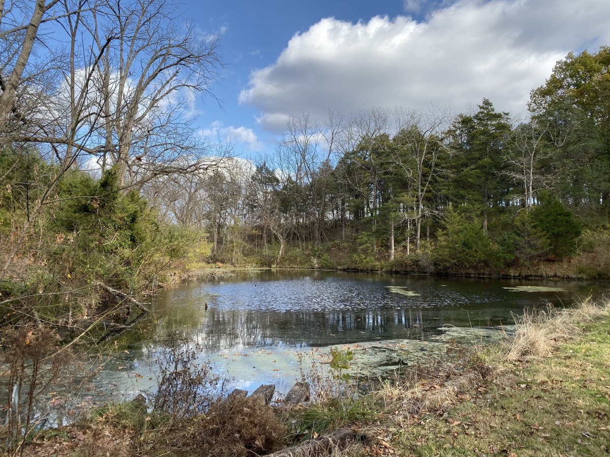 fullsizeoutput_1be3e