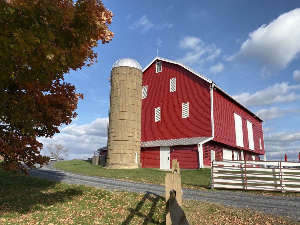 fullsizeoutput_1be49