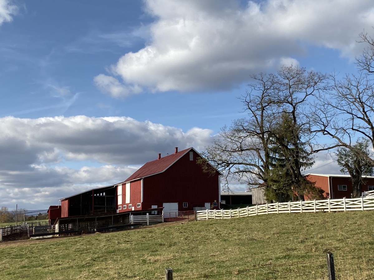 fullsizeoutput_1be4c