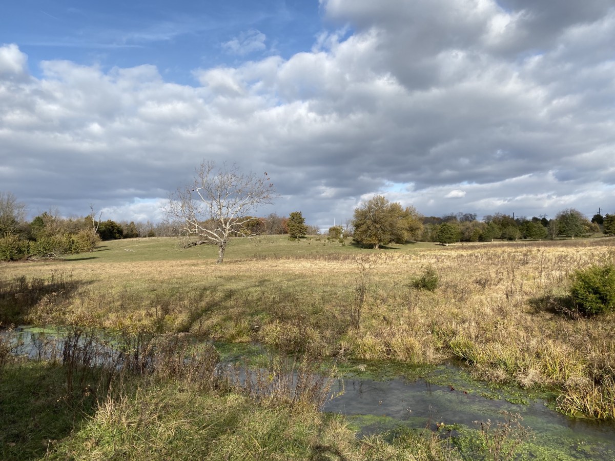 fullsizeoutput_1be53