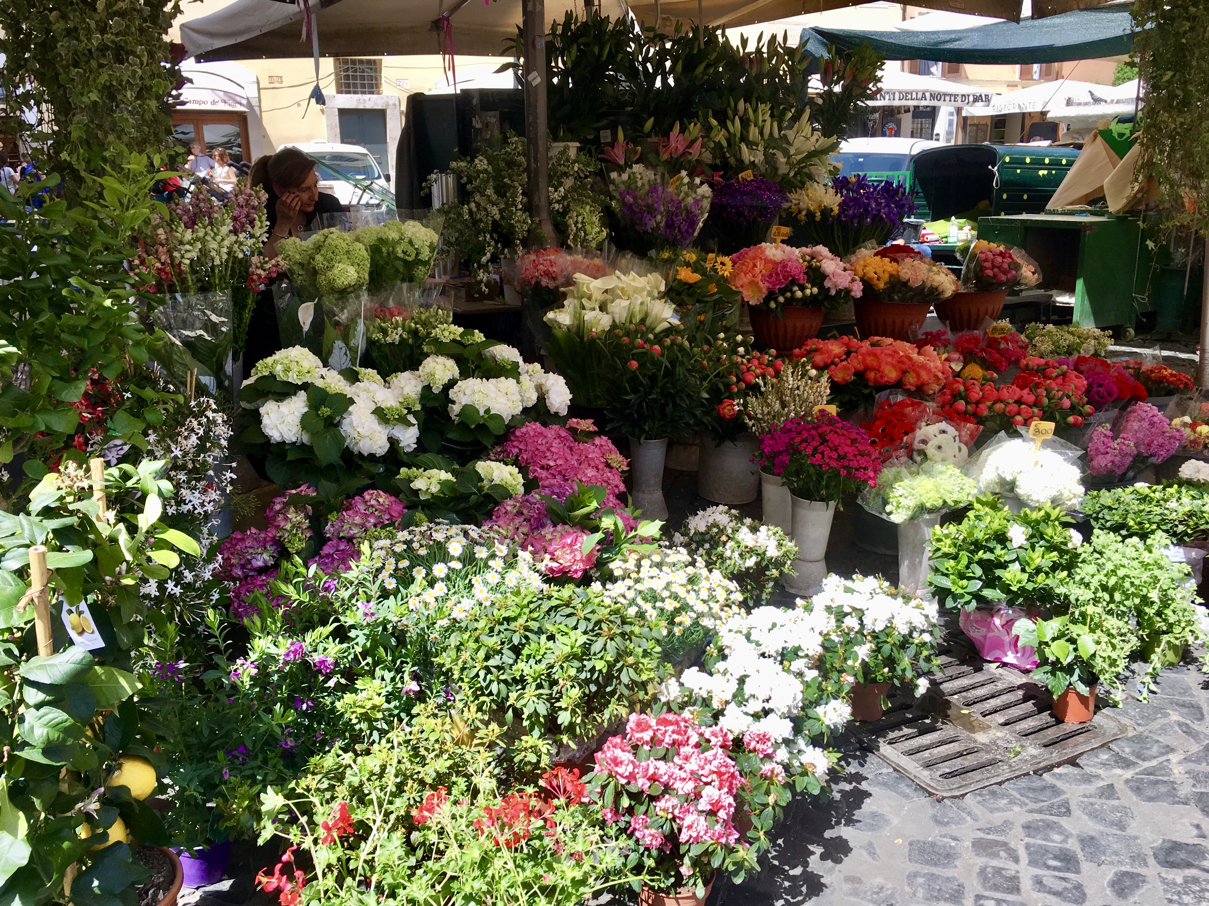 fullsizeoutput_1be62