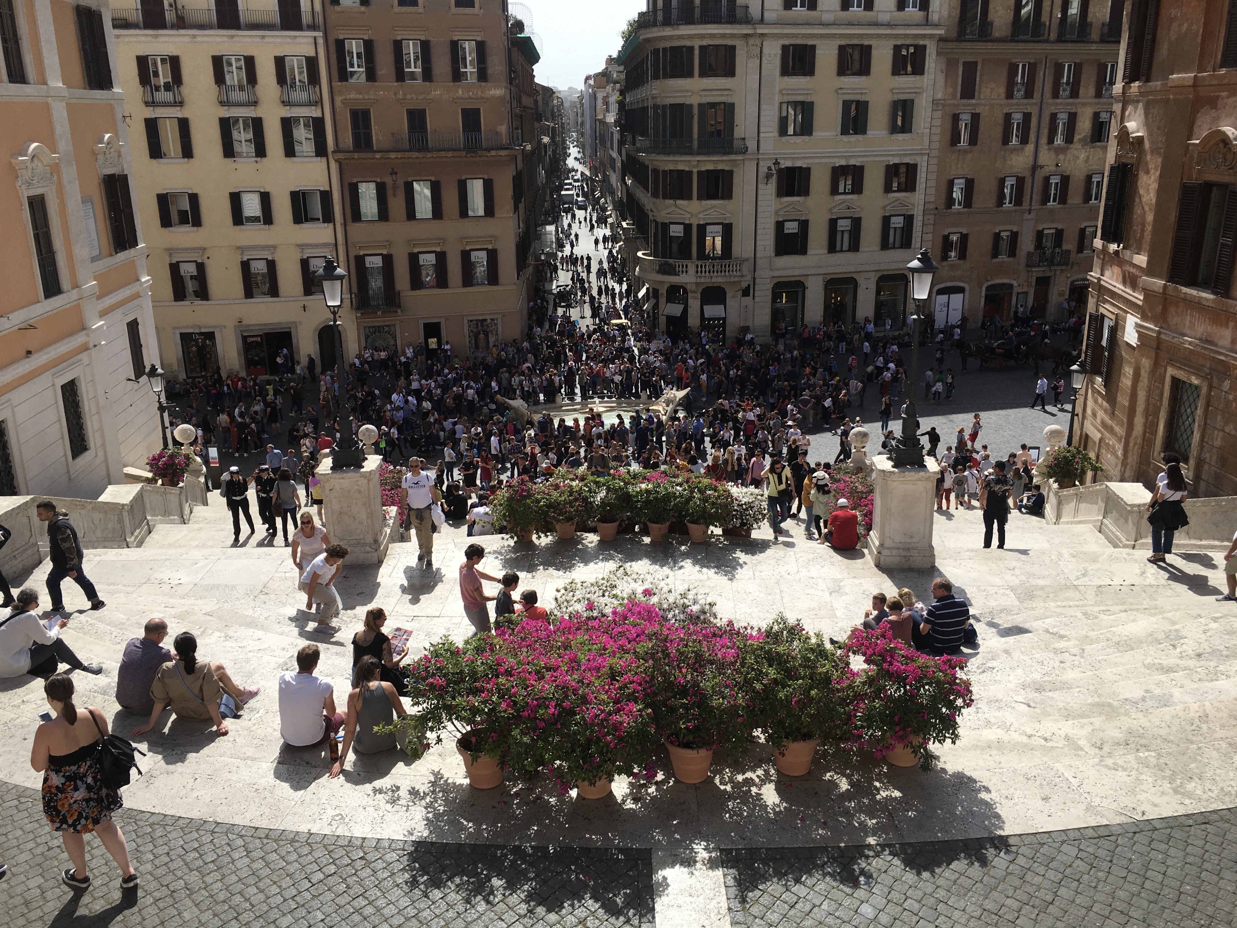 fullsizeoutput_1be84