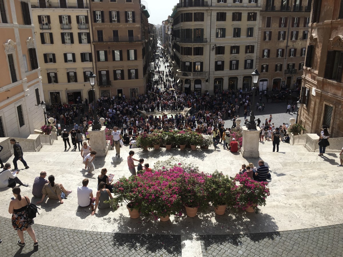 fullsizeoutput_1be84