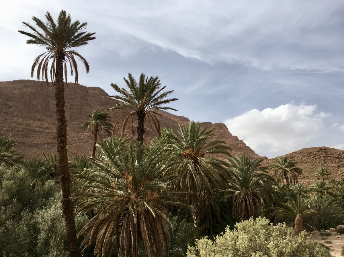 fullsizeoutput_1c0aa